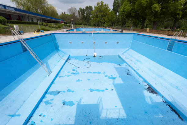 Best Mold removal after water damage  in Lewiston, CA