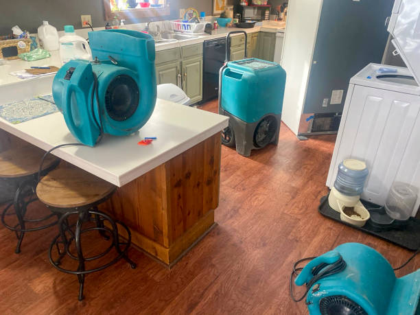 Trusted Lewiston, CA Water damage restoration Experts