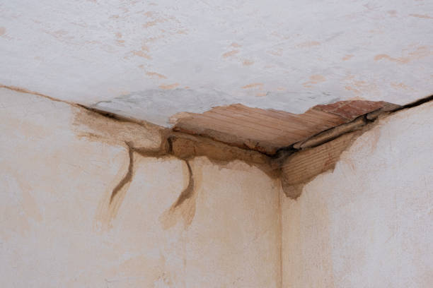 Best Basement water damage restoration  in Lewiston, CA