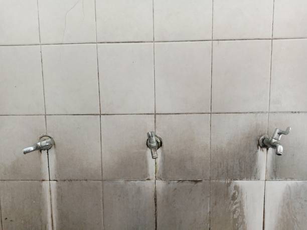 Best 24-hour water damage restoration  in Lewiston, CA