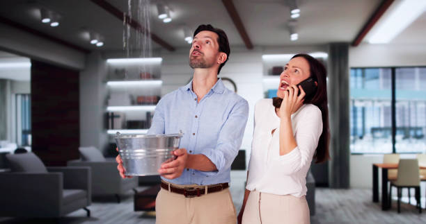 Best Carpet water damage restoration  in Lewiston, CA