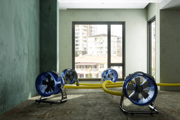 Lewiston, CA Water damage restoration Company