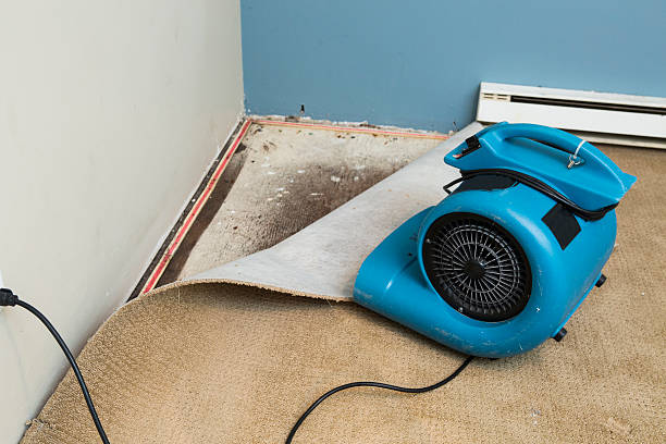 Best Water damage restoration cost  in Lewiston, CA